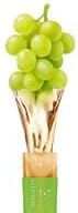 EVERYDAZE Essential Collagen Solution Jelly Stick | Vegan Collagen Peptide | Green Grape | 10 Packs | Hair, Skin,