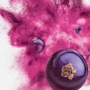 Blackcurrant Powder - Organically Grown in New Zealand, Rich in Vitamin C and Antioxidants, No Preservatives, GMO Free