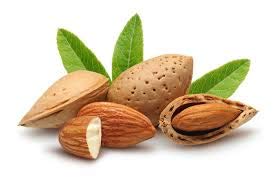 Macadamia Nut Body Cream Lotion Eco-Refill 250 ML (Black Coconut)