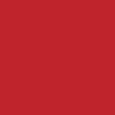 Made in USA Pack of 250 Flexible Disposable Plastic Drinking Straws (8.25" X 0.23") (Red)