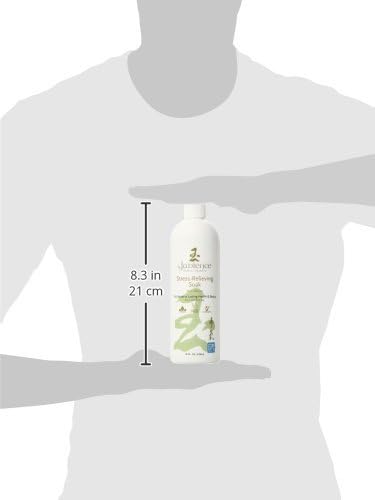 Stress Relief Soak, 16 Ounce - For Sleeplessness, Muscle Aches, Fatigue, Emotional Imbalances