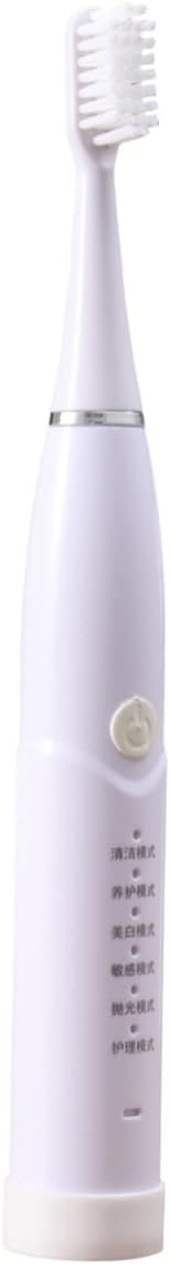 Modes Boys and Girls Electric Toothbrush Acoustic Vibration USB Rechargeable Head Years