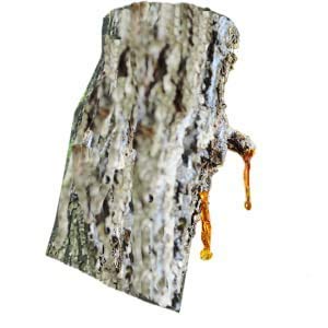 Silky Scents 100% 10 ML Amber Essential Oil, Pure & Natural