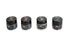 Lip Scrub Set with Antioxidants and Vitamin E, 4 pcs, All 4 Different Flavors