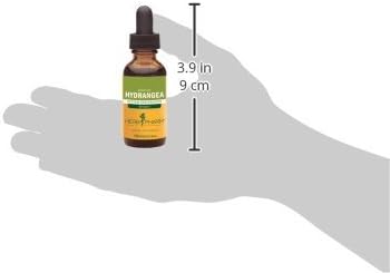 Herb Pharm Hydrangea Liquid Extract for Urinary System Support, 1 Fl Oz