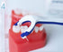 Paro Floss Holder and Mint Floss, Waxed, Fluoridated, 50M