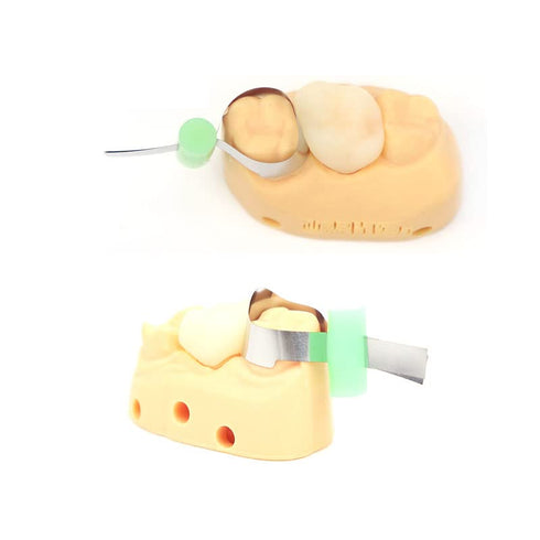 TEPTOARCH Lab Forming Sheet, 50pcs/Box - Orthodontic Sectional Contoured Metal Matrice for Adults/Children