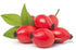 Organic Rosehip Seed Oil, 100% Pure Cold Pressed, 4 fl. oz., Anti-Aging, Omegas 3, 6 & 9