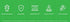 Pure Quercetin