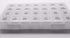 Healthaccessories 7 Spanish Pill Box Day Four Times a Day Weekly Pill Planner Organizer - Large Compartment Pill Boxes