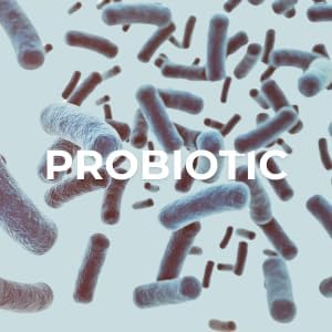 PROBIOTIC-C Jelly Sticks - Bifidobacterium and Vitamin C | Non-GMO, Gluten Free, Vegan | Individual Sachets for Easy