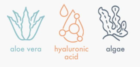 LOUMI Skincare Lightweight Hydrating Aloe Face Cream with Aloe Vera, Algae, and Hyaluronic Acid for Softening and