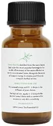 Green Tea Essential Oil 1 Fl Oz - Premium Grade for Aromatherapy, Soaps, Lotions, & Candles, Vegan & Cruelty Free