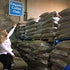 PureLife Enema Coffee - 1 Lb - Organic Gerson Specific, Ground, Mold & Fungus Free, Air Roasted Medium