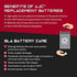 NP10-6A 6V 10Ah AJC Battery Compatible with Yuasa Sealed Lead Acid Battery