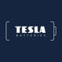 TESLA BATTERIES 9V GOLD+ (6LR61 / BLISTER FOIL 1 PC), Maximum Power Alkaline Batteries, 10 Year Shelf Life
