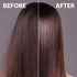 Daeng Gi Meo Ri Professional Honey Therapy Hair Mist - 250ml, Wheat Protein, Natural Ingredients, Damage Protection