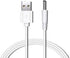 Toothbrush Charger Replacement for Fairywill, Dnsly, Gloridea, Vekkia - USB DC Cord Tooth Brush (White 3.3ft)