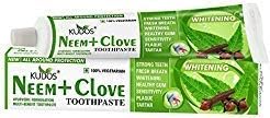 Kudos 100g Neem + Clove Toothpaste