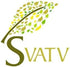 SVATV Tea Tree Essential Oil, Therapeutic Grade Aromatherapy Oil for Diffuser, Yoga, Massage, 10 ml
