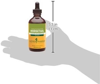 Horsetail 4 Herb Pharm Liquid Extract for Urinary System Support - Ounce