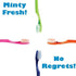 Plak Smacker (36 Mintburst Prepasted Individually Wrapped Toothbrush Toothbrushes)