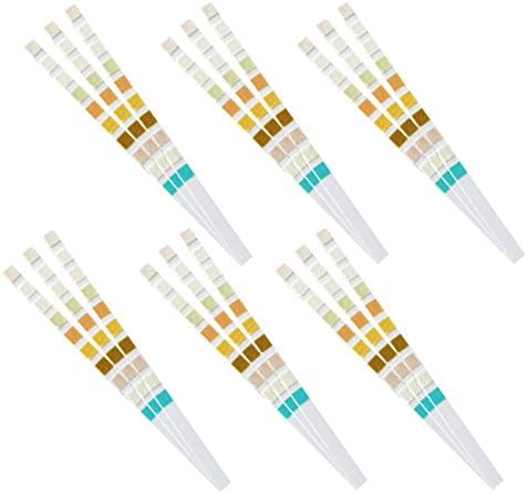 Pevor (100Pcs Health Test Strips Urine Test Strips)