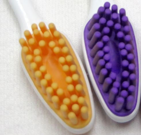 Shabbos Toothbrush, Kosher for Year Round and Passover, 1 Toothbrush