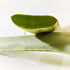 Ultimate Aloe Juice Inner Leaf Aloe Vera for Digestive & Nutrient Absorption Support, Vegetarian, Gluten-Free