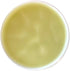 Alaska Devil's Club Lavender Salve - Handmade Skin Care Ointment with Lavender, Natural Muscle Rub - 2 oz, Made in USA