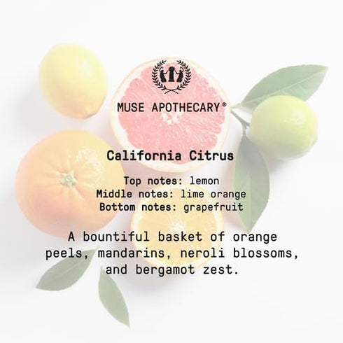 Muse Apothecary Room Ritual, Aromatic and Relaxing Room Mist, 8 oz, Infused with Natural Essential Oils