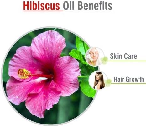 Hibiscus Oil (Hibiscus Sabdariffa L) - Therapeutic Essential Oil by Salvia Amber Bottle 100% Natural Uncut Pure Oil