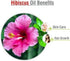 Hibiscus Oil (Hibiscus Sabdariffa L) - Therapeutic Essential Oil by Salvia Amber Bottle 100% Natural Uncut Pure Oil