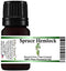 Spruce Hemlock Essential Oil (Tsuga Canadensi) 100% Pure Grade, 5 ML