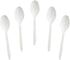 200 Count 4.5" Mini Compostable Spoons, Small Tasting Spoon for Ice Cream, Dessert, Coffee