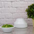White Plastic Soup Bowls Dinnerware Plates Microwavable Home Office Kitchen Party Picnic For Hot Cold Dessert Salad Cereal Snack Use Disposable BPA Free 12 Oz 100 Pack