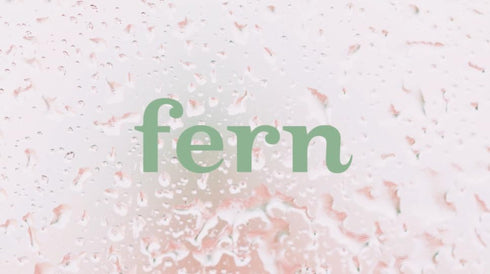 Fern MK27124 Chenille Mop Refill and Microfiber Sweeping Pad, Compatible with Fern 48" Mop Kits