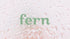 Fern MK27124 Chenille Mop Refill and Microfiber Sweeping Pad, Compatible with Fern 48" Mop Kits