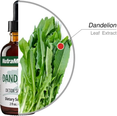 NutraMedix Dandelion Detox Support - 60ml Tincture for Liver & Gut Health, Antioxidant Support, Daily Use Supplement