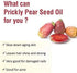 Pure Salvia Prickly Pear Seed Essential Oil - Organic, Undiluted, Therapeutic Grade - 50 ML with Dropper