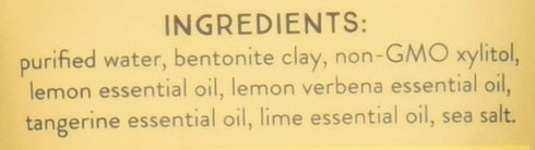 REDMOND REAL SALT 4 OZ Lemon Twist Earthpaste