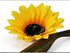 Sunflower Hair Barrettes - Daisy Hair Clips for Women Girls, Alligator Hair Pins (4pcs)