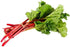 PCI Restore Herbal Remedy - All-Natural GI Detox, Dietary Supplement for Regularity, Developed by Dr. Omar Amin