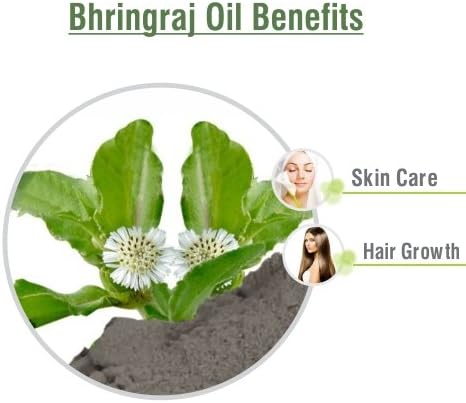 Salvia Bhringraj Oil (Eclipta alba) 100% Pure & Natural, Undiluted Cold Pressed Premium Oil for Aromatherapy