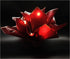 XICHEN 20 Sheets Pure Color Waterproof Flower Wrapping Paper, 22.8x22.8Inch Florist Bouquet Supplies (Red Wine)