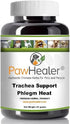 Trachea Support Dog Cough Remedy for Loud, Honking Cough - 50 Grams Powder