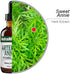 NutraMedix Artemisia Annua - Immune Support Supplement for Healthy Microbial Support & Antioxidant Activity - 2 oz
