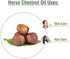 Salvia Horse Chestnut Oil - 50ml Pure Natural Oil for Skin Hydration, Toning, and DIY Purposes