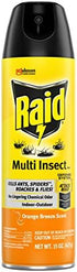 Raid Multi Insect Killer, Orange Breeze 15 Ounce (Pack of 1)