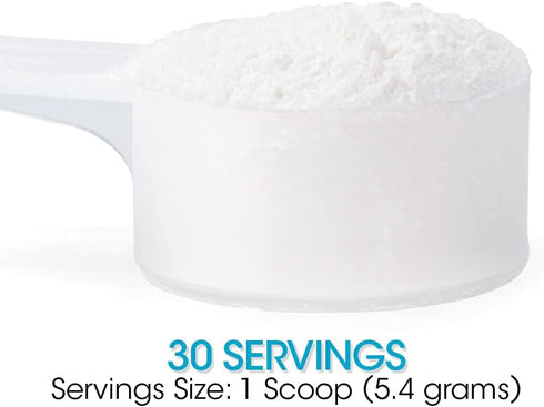 Silver Fern Gut Repair - Digestive Health Supplement Powder, 2 Tubs, L-Glutamine, Curcumin, Zinc & Ascorbic Acid